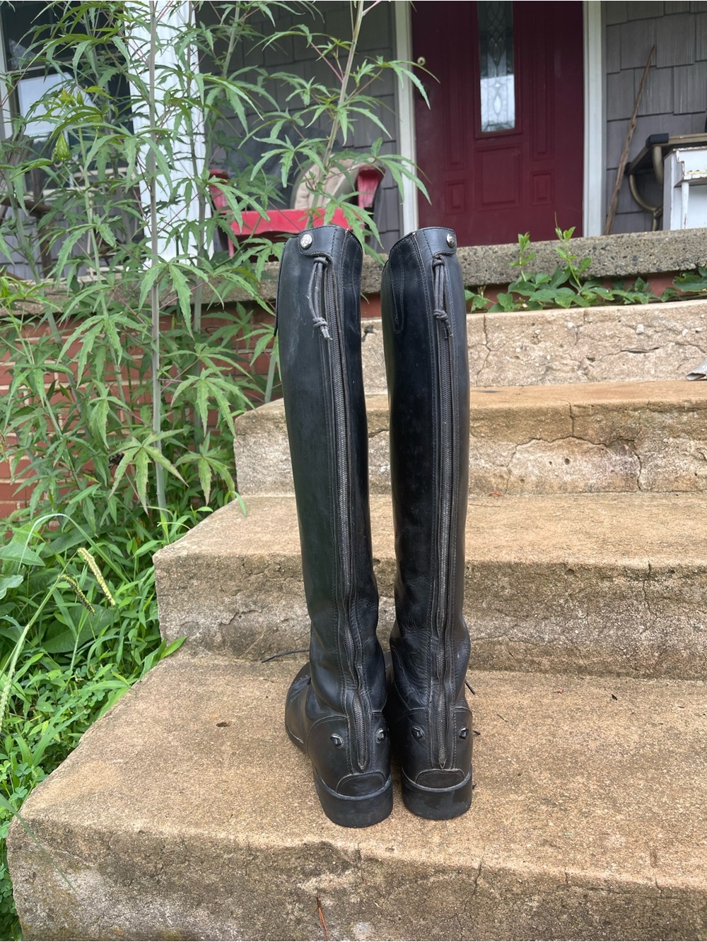 Ariat Black Tall/ Full Calf Riding Boots - Picture 3 of 5